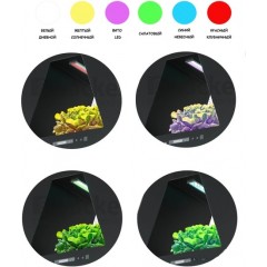 Вытяжка Backer KH60E-F1 Black