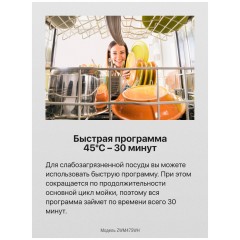 Посудомоечная машина Hansa ZWM475WH
