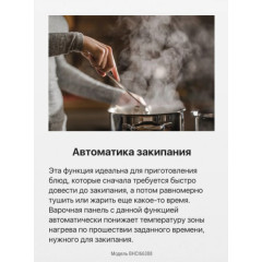 Варочная панель Hansa BHCI66308