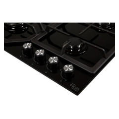 Варочная панель Making Oasis Everywhere P-GB (FN)