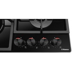 Варочная панель Hansa BHKS630540