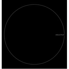 Варочная панель LEX EVI 320 F BL