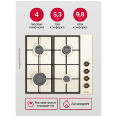 Варочная панель Hansa BHGY620390