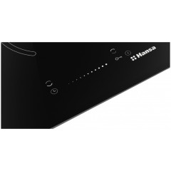 Варочная панель Hansa BHC331014