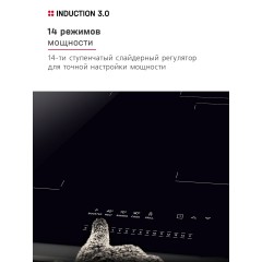 Варочная панель Hansa BHI67116