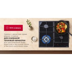 Варочная панель Hansa BHGS611839