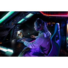 Ноутбук Acer Predator Helios Neo 16 PHN16-72-72NX NH.QNNCD.001