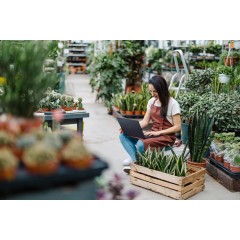 Ноутбук Asus ExpertBook B3 B3404CMA-Q50433