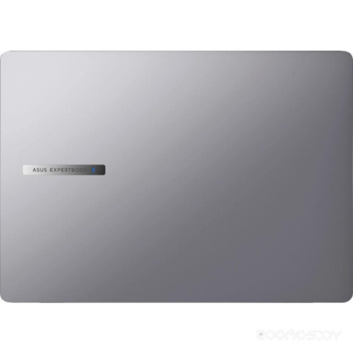 Ноутбук Asus ExpertBook P5 P5405CSA-NZ0298