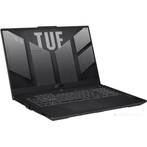 Ноутбук Asus TUF Gaming F17 FX707VJB-HX100