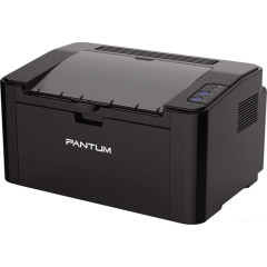 Принтер Pantum P2500