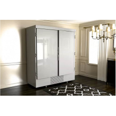 Климатический шкаф Beauty&Cold с встроенным холодильным блоком НИЗ 12