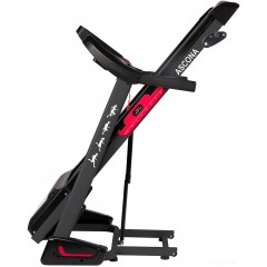 Беговая дорожка DFC Ascona T595