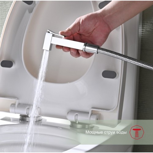 Гигиенический душ Raglo R01.51