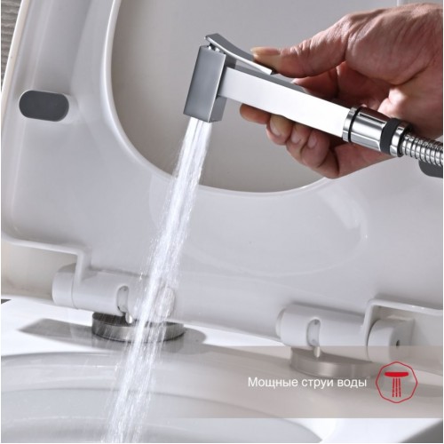 Гигиенический душ Raglo R01.52