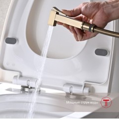 Гигиенический душ Raglo R01.52.03