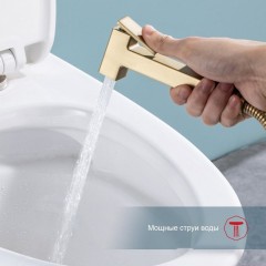 Гигиенический душ Raglo R51.55.03