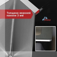 Кухонная мойка Avina HM7048 (нержавеющая сталь)