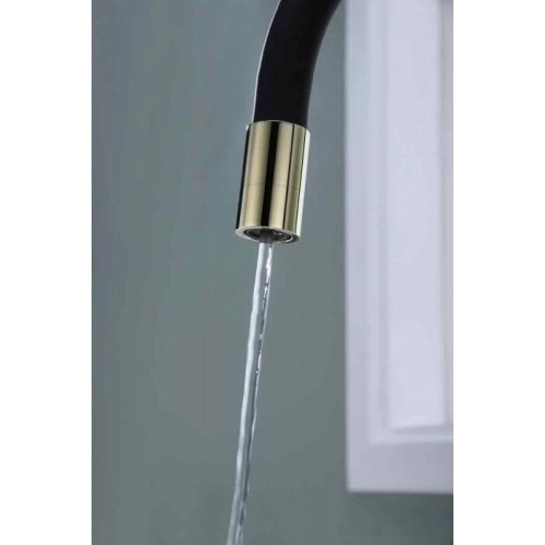 Смеситель Paulmark Salix Sa213419-G (черный/золото)