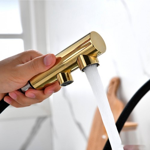 Смеситель Paulmark Serpentine SE213222-G (золото)