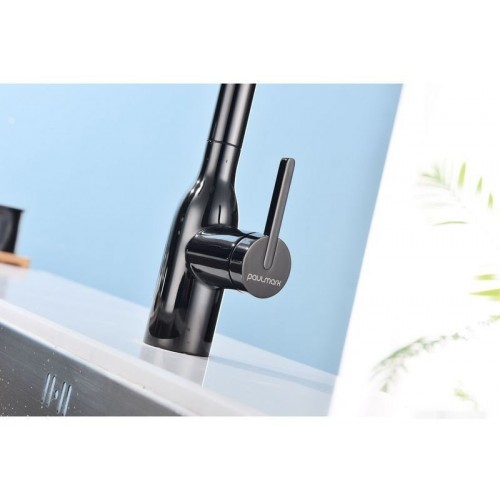 Смеситель Paulmark Viper VI213105-GB (черный/черный глянцевый)