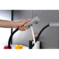 Смеситель Paulmark Serpentine SE213222-DG (серый/графит)