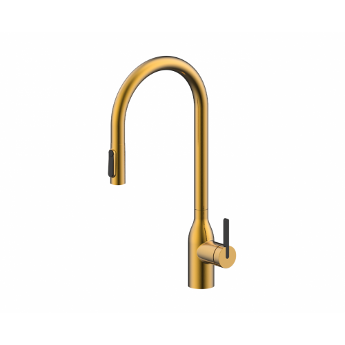 Смеситель Paulmark Iniversal Un213880-BG (золото/брашированное золото)