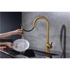 Смеситель Paulmark Universal Un213880-BG (золото/брашированное золото)