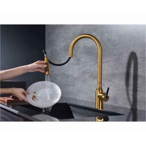 Смеситель Paulmark Iniversal Un213880-BG (золото/брашированное золото)