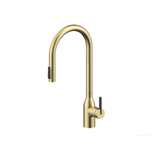 Смеситель Paulmark Iniversal Un213880-SBG (золото/светлое брашированное золото)