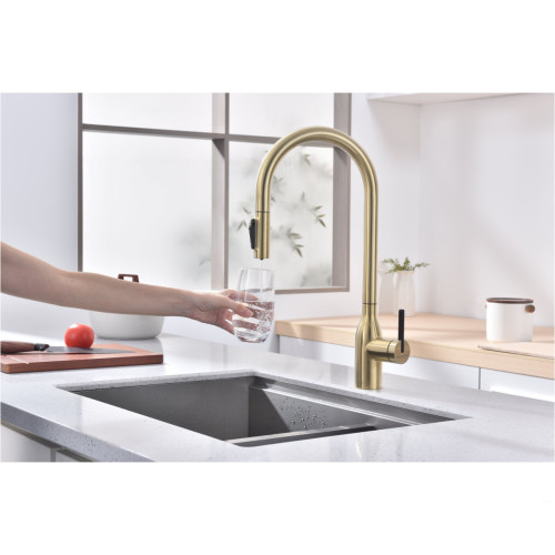 Смеситель Paulmark Iniversal Un213880-SBG (золото/светлое брашированное золото)