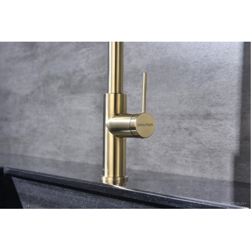 Смеситель Paulmark Ga213077-LG