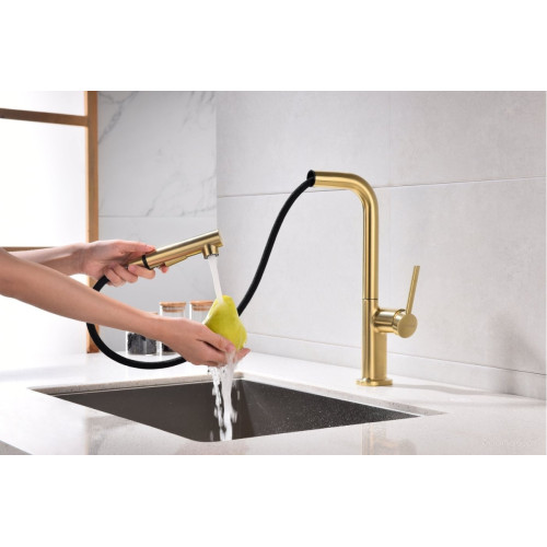 Смеситель Paulmark Ne214419-LG