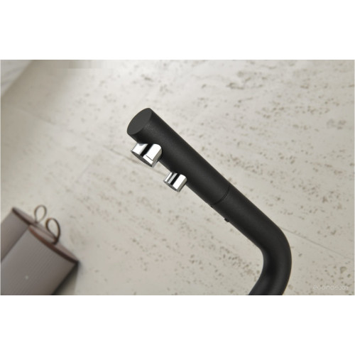 Смеситель Paulmark Se213222-BLM