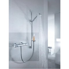 Смеситель Hansgrohe Ecostat 13116000