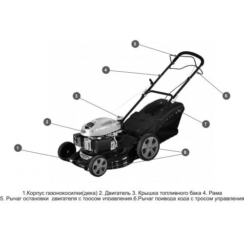 Бензиновая газонокосилка Champion LM4630