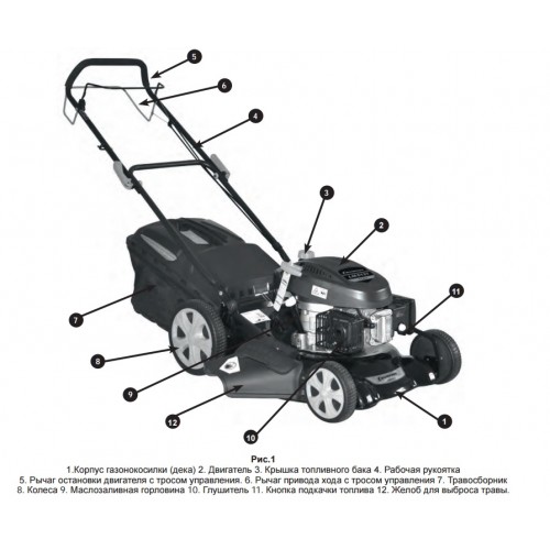 Бензиновая газонокосилка Champion LM5131