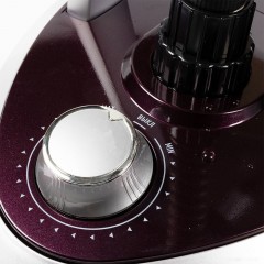 Отпариватель Endever Odyssey Q-7