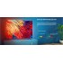 Телевизор Hisense 55E7HQ