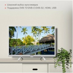 Телевизор StarWind SW-LED24SG312