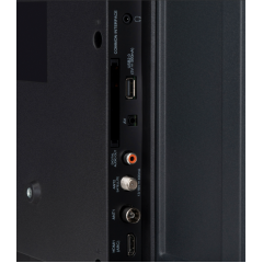 Телевизор StarWind SW-LED43SG300 (черный)