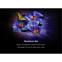 Телевизор HAIER 55 Smart TV S4