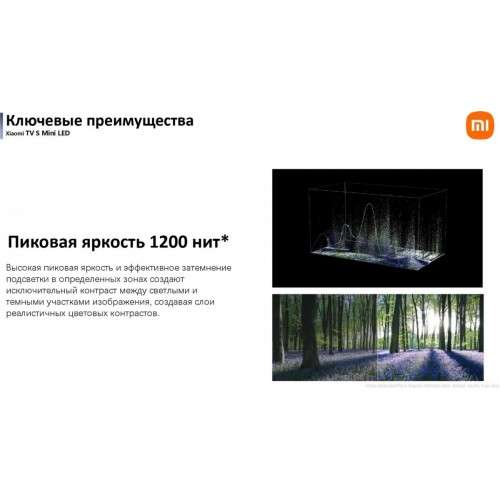 Телевизор Xiaomi TV S Mini LED 55" 2025 (международная версия)