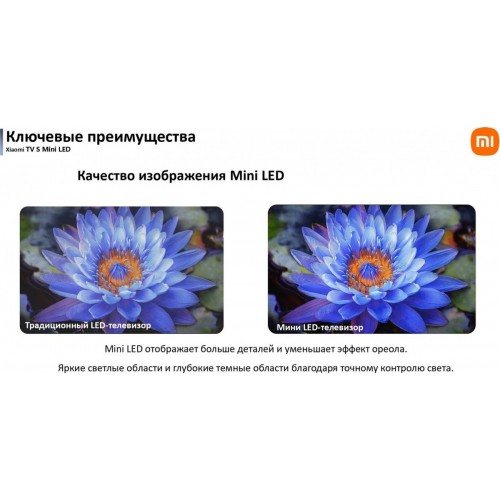 Телевизор Xiaomi TV S Mini LED 65" 2025 (международная версия)