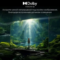 Телевизор DIGMA Pro OLED 65M