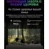 Телевизор Skyworth 65SXF9800