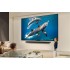 Телевизор LG AI QNED80 50QNED80A6A