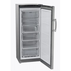 Морозильник Indesit DFZ 4150 G