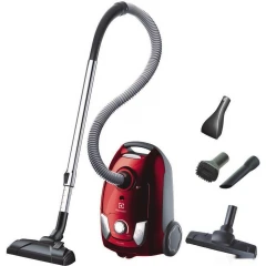 Пылесос Electrolux EEG43WR
