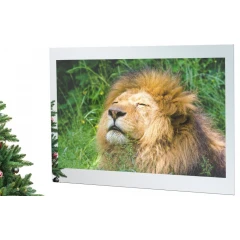 Телевизор AVEL AVS755SM (Magic Mirror)